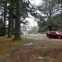 Jenolan State Forest