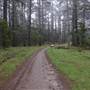 Jenolan State Forest