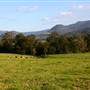 Kangaroo Valley Vistas