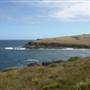 Kiama