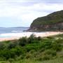 Putty Beach