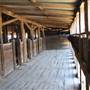 Kinchega Woolshed