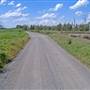 Kooragang Wetlands - Hunter Wetlands National Park