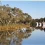 Kooragang Wetlands - Hunter Wetlands National Park