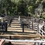 John Scott Kundabung Rodeo Grounds / Stables