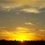 Leeton Shire