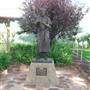 Leeton Shire