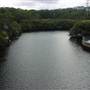 Lane Cove River