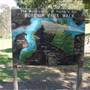 Lane Cove National Park