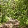 Lane Cove National Park