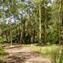 Lane Cove National Park