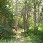 Lane Cove National Park
