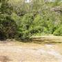 Lane Cove National Park