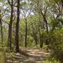 Lane Cove National Park