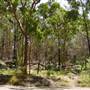 Lane Cove National Park