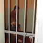 Old Dubbo Gaol