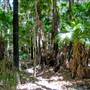 Munmorah State Conservation Area