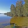 Mungo Brush - Myall Lakes National Park