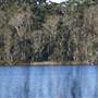 Myall Lakes National Park
