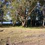 Myall Lakes National Park