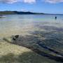 Myall Lakes National Park