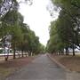Newington Armory - Sydney Olympic Park