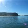 Pearl Beach