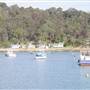 Patonga