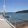 Patonga