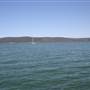 Patonga