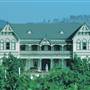 Pepper Tree Estate & Winery