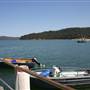 Patonga