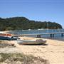 Patonga