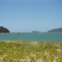 Patonga