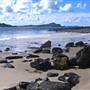 Seal Rocks - Myall Lakes National Park