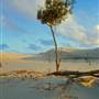 Stockton Dunes - Worimi National Park