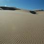 Stockton Dunes - Worimi National Park