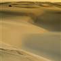Stockton Dunes - Worimi National Park