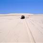 Stockton Dunes - Worimi National Park