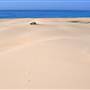 Stockton Dunes - Worimi National Park