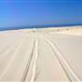 Stockton Dunes - Worimi National Park