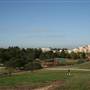 Sydney Park
