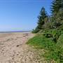 Toowoon Bay