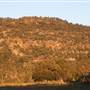 Wisemans Ferry