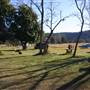 Wisemans Ferry