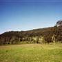 Tocal Historic Homestead