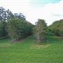 Lismore Area