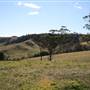 Lithgow Township & Surrounds