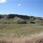 Lithgow Township & Surrounds