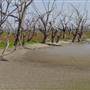 Menindee